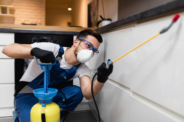 Best Ant Control Services  in Black Mountain, NC