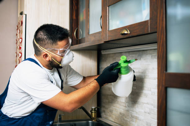 Best Pest Control for Restaurants  in Black Mountain, NC