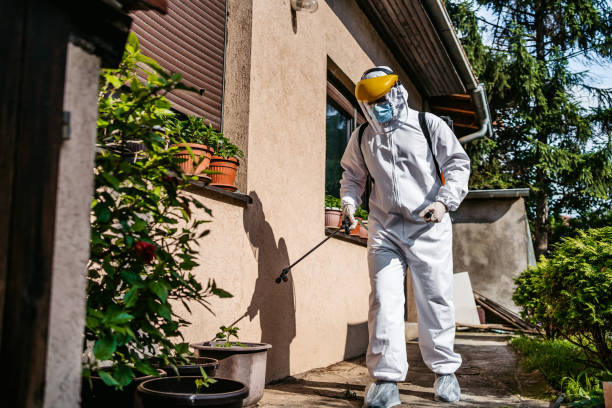Best Best Pest Control Companies  in Black Mountain, NC