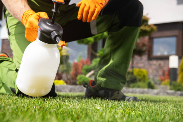 Best Wildlife Control Services  in Black Mountain, NC