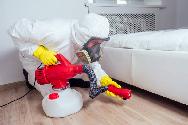 Best Affordable Pest Control Services  in Black Mountain, NC