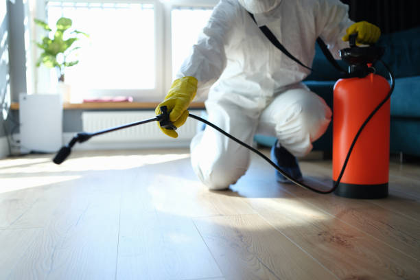 Best Exterminator Services  in Black Mountain, NC