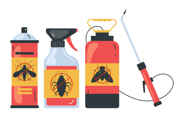 Best Bed Bug Extermination  in Black Mountain, NC