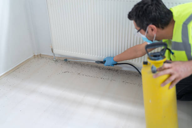 Best Pest Prevention Services  in Black Mountain, NC